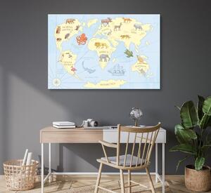 Obraz na korku mapa světa se zvířaty