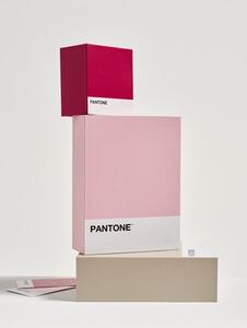 Sinsay - Úložná krabice Pantone - růžová