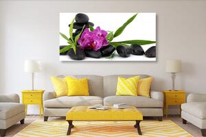 Obraz fialová orchidej v Zen zátiší