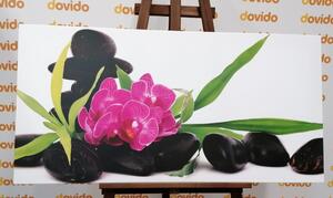 Obraz fialová orchidej v Zen zátiší