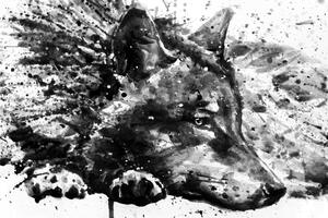 Obraz vlk v akvarelovém provedení v černobílé barvě