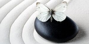 Obraz Zen kámen s motýlem