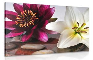 Obraz květiny v misce se Zen kameny