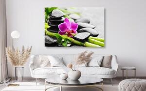 Obraz Spa zátiší s fialovou orchidejí
