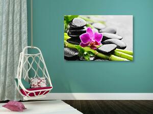 Obraz Spa zátiší s fialovou orchidejí Varianta: 60x40