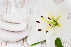 Obraz lilie a masážní kameny v bílém provedení