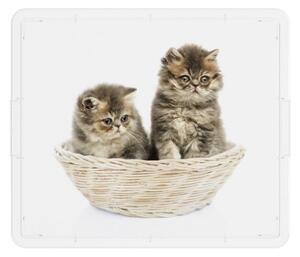 KIS Puppy and Kitten 57496 Box - CUBE