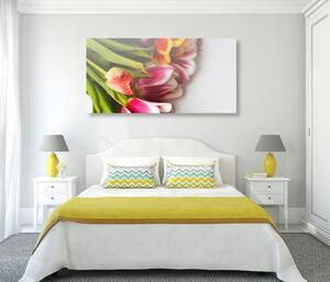 Obraz kytice barevných tulipánů
