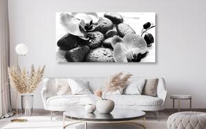 Obraz kouzelná souhra kamenů a orchideje v černobílém provedení