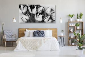 Obraz tulipány v jarním nádechu v černobílém provedení
