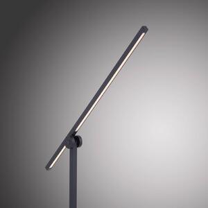 PURE Grafo LED stolní lampa, senzorový stmívač