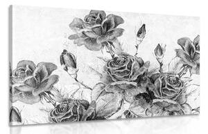 Obraz vintage kytice růží v černobílém provedení
