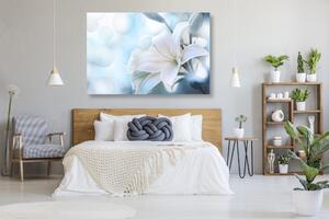 Obraz bílý květ lilie na abstraktním pozadí
