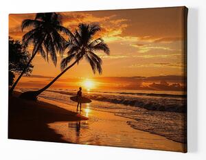 Obraz na plátně - Surfař pod palmami při západu slunce FeelHappy.cz Velikost obrazu: 150 x 100 cm