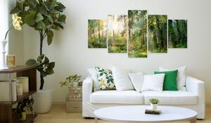 Obraz zelená svatyně na akrylátovém skle - Green Sanctuary - 200x100