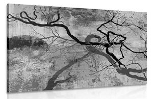 Obraz surrealistické stromy v černobílém provedení