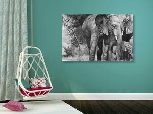Obraz sloní rodinka v černobílém provedení