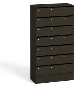 Skříň s poštovními přihrádkami, 21 přihrádek, wenge