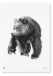 Teemu Järvi Plakát s motivem medvěda Gentle bear 50x70