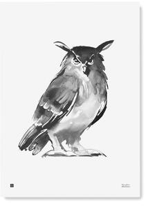 Teemu Järvi Plakát s motivem sovy Eagle Owl 50x70