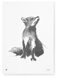 Teemu Järvi Plakát s motivem lišky Red Fox 50x70