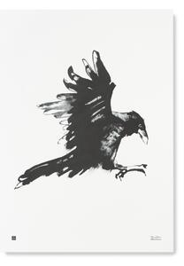Teemu Järvi Plakát s motivem havrana Raven 50x70