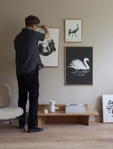 Teemu Järvi Plakát s motivem labutě Swan 50x70