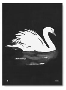 Teemu Järvi Plakát s motivem labutě Swan 50x70