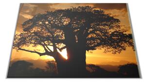 Skleněné prkénko západ slunce Afrika Tanzanie - 30x20cm