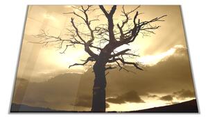 Skleněné prkénko západ slunce, silueta stromu - 30x20cm