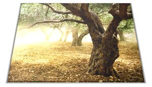 Skleněné prkénko strom olivovník - 30x20cm
