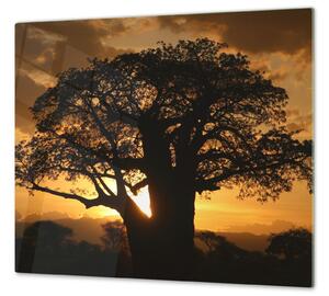 Ochranná deska západ slunce Afrika Tanzanie - 52x60cm / Bez lepení na zeď