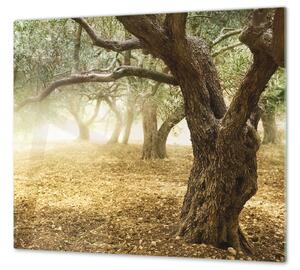 Ochranná deska strom olivovník - 52x60cm / S lepením na zeď