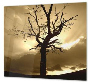 Ochranná deska západ slunce, silueta stromu - 52x60cm / S lepením na zeď