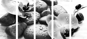 5-dílný obraz krásná souhra kamenů a orchideje v černobílém provedení