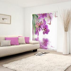 Fotožaluzie orchidej s motýly 1-40950087 50-600cm x 50-600cm