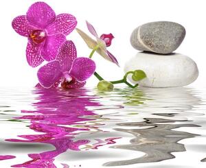 Fotožaluzie - orchidej nad vodou s oblázky 33612034 100 x 100cm