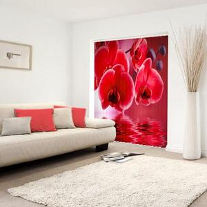 Fotožaluzie - orchidej červená 1-34969605 100 x 100cm
