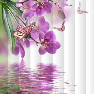 Fotožaluzie - orchidej s motýly 1-40950087 100 x 100cm