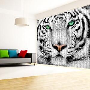Fotožaluzie - - Bílý tygr 100 x 100cm