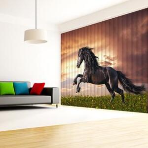 Fotožaluzie - - Kůň na louce 100 x 100cm