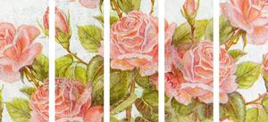 5-dílný obraz vintage kytice růží