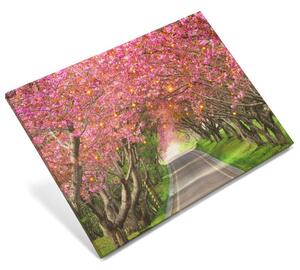 Nexos Nástěnná malba rozkvetlá alej stromů, 40 LED, 30 x 40 cm