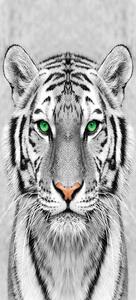 Samolepící fototapeta na dveře 95x210cm - Bílý tygr, 666238