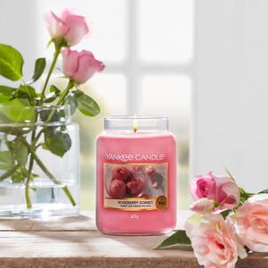 Yankee Candle - vonná svíčka Roseberry Sorbet (Růžový sorbet) 623g