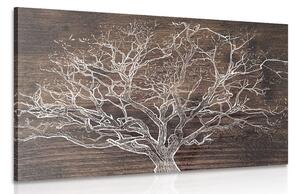 Obraz koruna stromu na dřevěném podkladu - 60x40