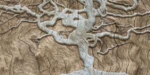 Obraz abstraktní strom na dřevě v béžovém provedení - 100x50