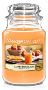 Yankee Candle - vonná svíčka Farm Fresh Peach (Čerstvá farmářská broskev) 623g