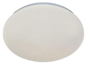 Rabalux 71501 - LED Stropní svítidlo LUCAS2 LED/12W/230V 4000K pr. 25,5 cm