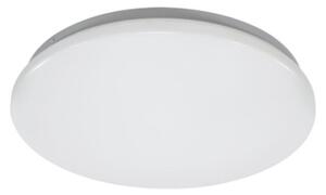 Rabalux 71501 - LED Stropní svítidlo LUCAS2 LED/12W/230V 4000K pr. 25,5 cm